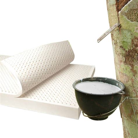 So, what makes latex mattresses so unique? 5 Benefits of Natural Latex Mattress - sleepspa