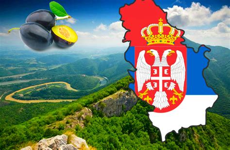 Serbia, officially the republic of serbia, is a landlocked country situated at the crossroads of central and southeast europe in the southern pannonian plain and the central balkans. 23 Reasons to Move to Serbia Right Now! - Serbia.com