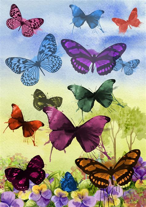 Watercolor Butterflies Art Free Stock Photo Public