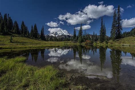 Chinook Pass With Mount Rainier Photograph By Mike Sedam