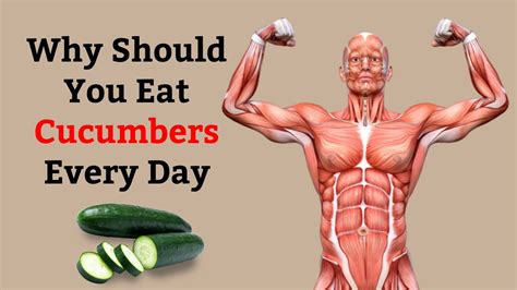 The Amazing Benefits Of Eating Cucumbers Every Day Youtube