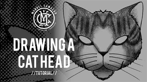 Drawing A Cat Head Tutorial Youtube