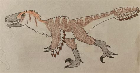 Feather Velociraptor By Drawasaurus04 On Deviantart