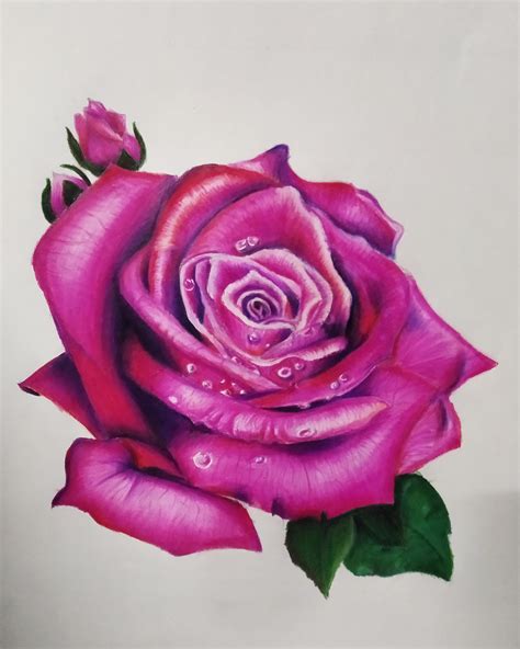 How To Draw A Realistic Rose Step By Step With Pencil