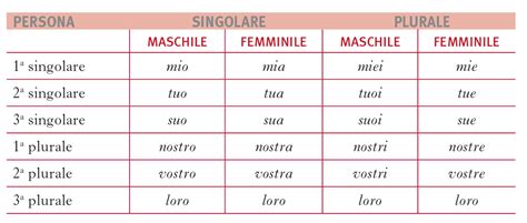 Possessivi Aggettivi E Pronomi In La Grammatica Italiana Treccani