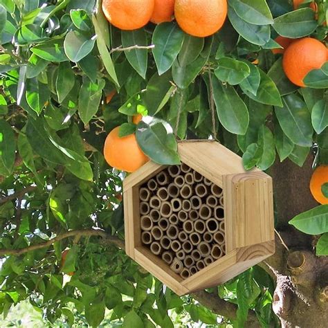 A Bamboo Mason Bee House So You Can Attract Mason Bees To Your