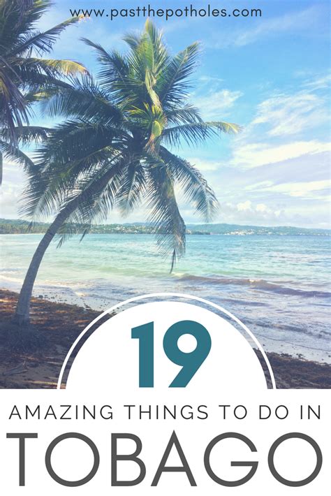 19 amazing things to do in tobago tobago thingstodo activities vacation ecotourism