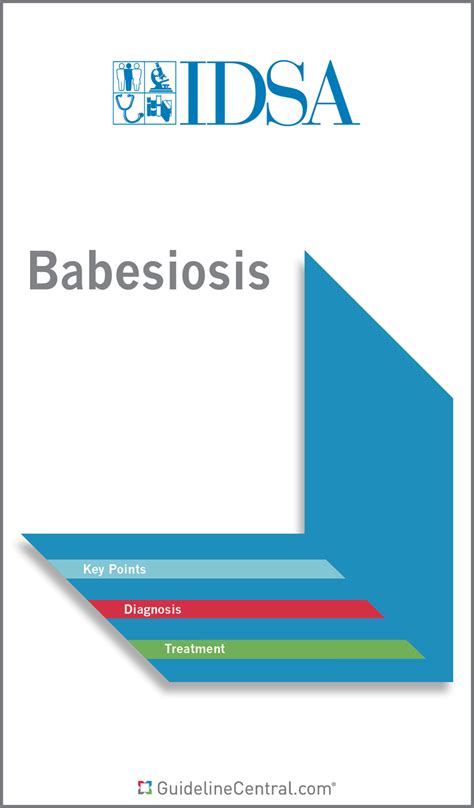 Babesiosis Guidelines Pocket Guide & App | IDSA Guidelines