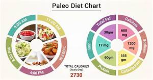 Paleo Diet The Paleo Diet A Beginner S Guide Meal Plan Although It