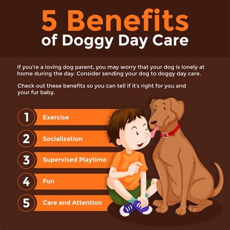 5 Benefits Of Doggy Day Care Inmypaws Dogdaycare Dog Daycare Dog