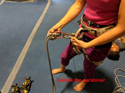 What Is A Belay Learn To Top Rope Belay For Indoor Gym Rock