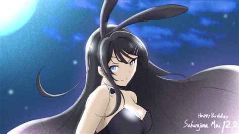 Rascal Does Not Dream Of A Bunny Girl Senpai Wallpapers