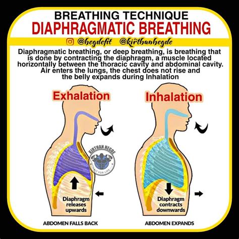 Diaphragm Breathing Diagram