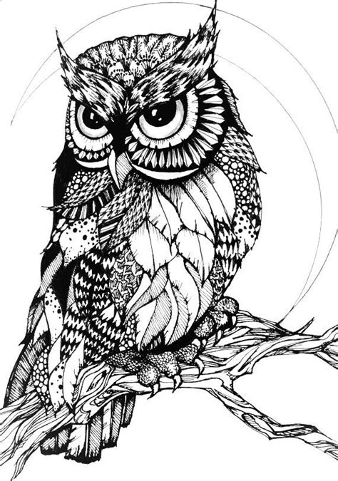 Owl Zentangle ️fostergingerpinterestcom ️more Pins Like This One At