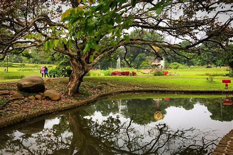 Rute menuju kebun raya bogor pun cukup mudah. Spot-spot Foto di Kebun Raya Bogor yang Instagramable - Traveling Yuk