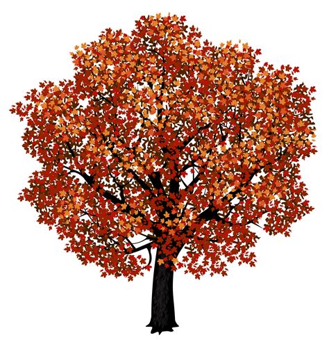 Orange Maple Tree Clipart Clipground