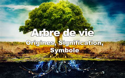 Larbre De Vie Origines Signification Symbole Mybouddha Blog