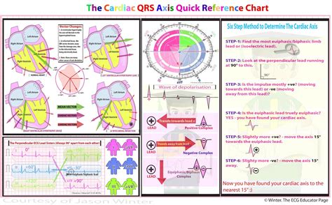 We did not find results for: ECG Educator Blog : Cardiac Axis Made Easy