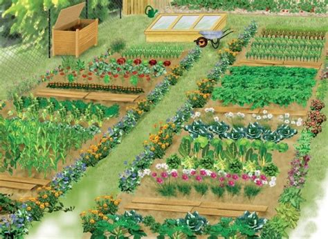 Créer Le Plan De Son Potager Organiser Potager Jardin Potager