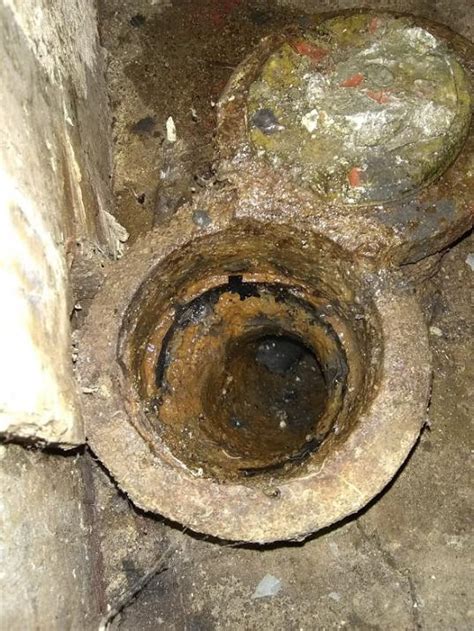 Maybe you would like to learn more about one of these? Basement floor drain backs up from kitchen drain. Are they ...