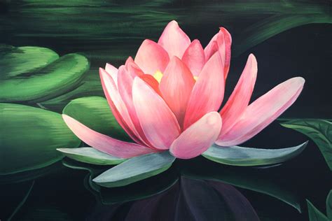 Japanese Lotus Art Wallpapers Top Free Japanese Lotus Art Backgrounds
