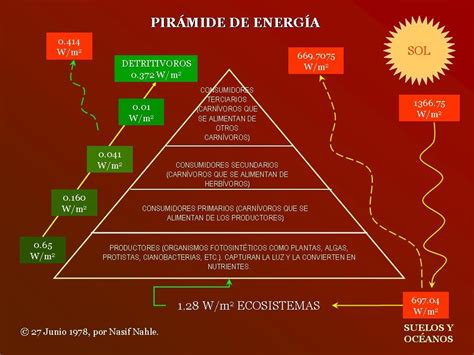 Piramide De Energia Picuki