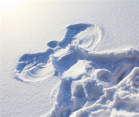 安安静静地做一个雪天使？这个周六让我们一起躺在国会山吧！ Ottawazine News