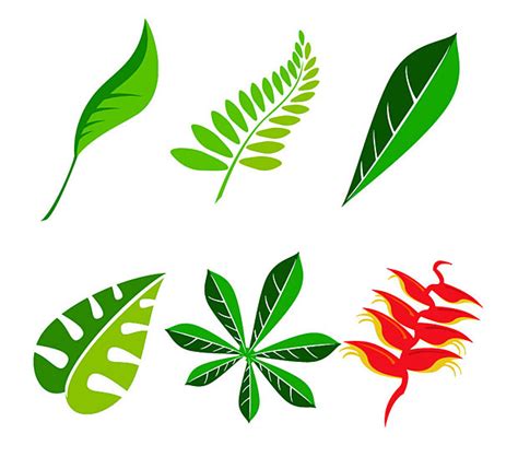 Jungle Leaves Clipart Clip Art Library