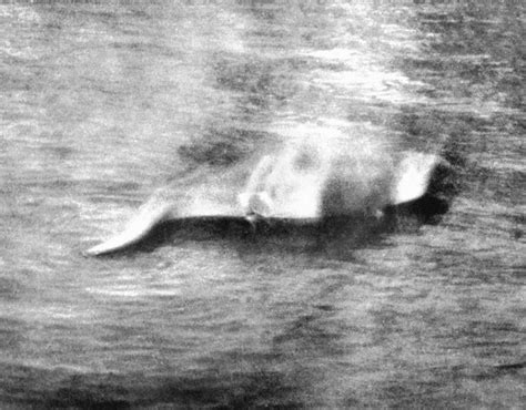 How A 1933 Loch Ness Monster Photo Started The Global Craze In Scotland