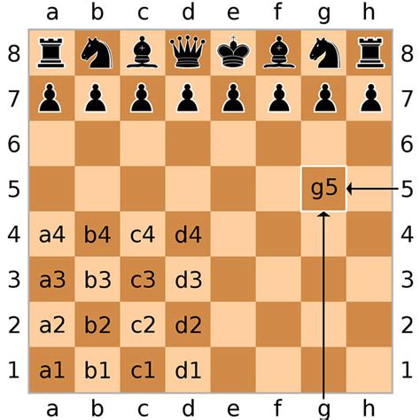 Chess Board Notation Chart