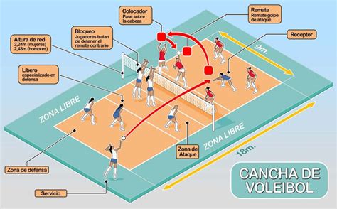 Como Se Juega El Voleibol Y Sus Reglas Chefli