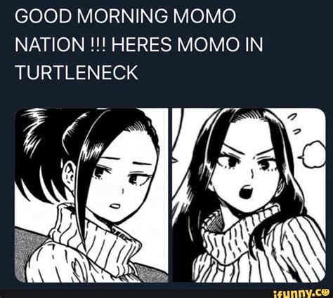 good morning momo nation heres momo in turtleneck popular memes on the site