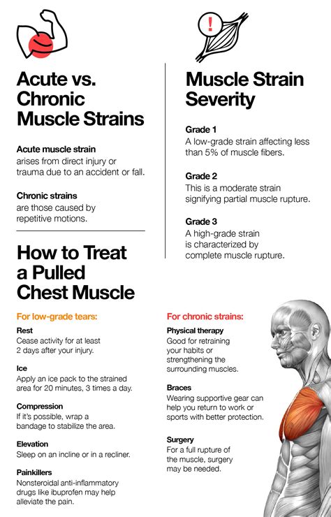 Pulled Chest Muscle Symptoms Causes And Treatment The Amino Company