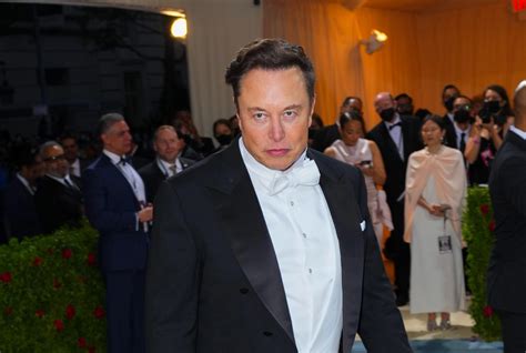 Elon Musk Fans Concerned After Billionaire Writes Chilling Post On Twitter About Dying Under