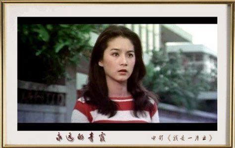 Brigitte Lin Ching Hsia Lin Qing Xia Most Beautiful Chinese Actress