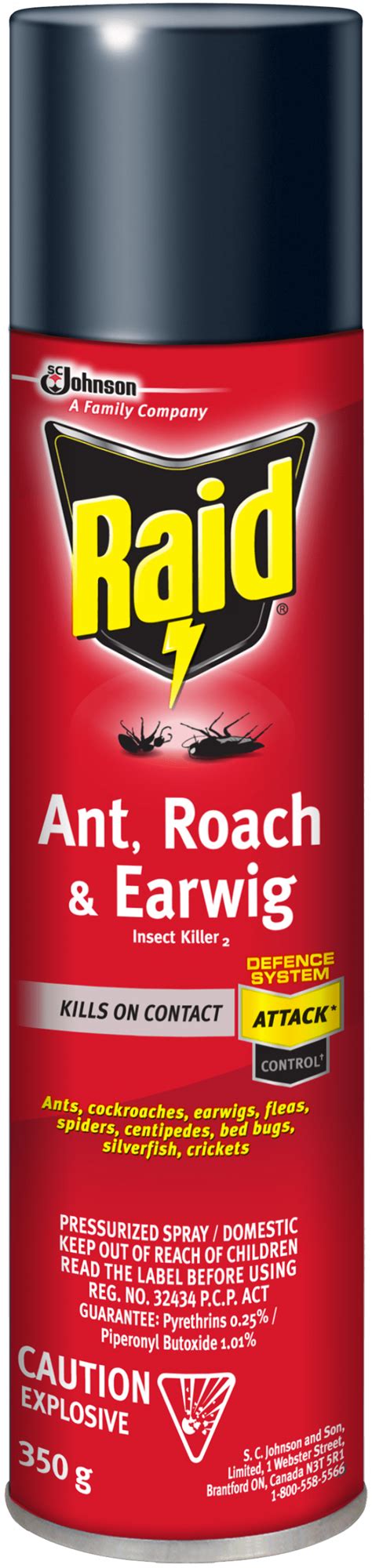 Raid Ant Roach And Earwig Insect Killer Pressurized Spray 350g Lucx