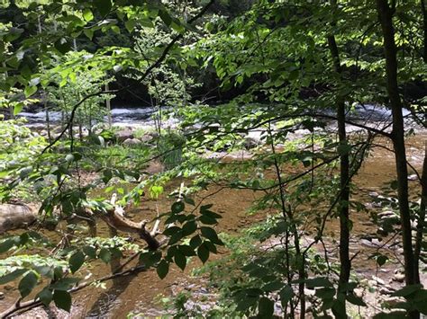 Minden Wild Water Preserve 2020 All You Need To Know Before You Go