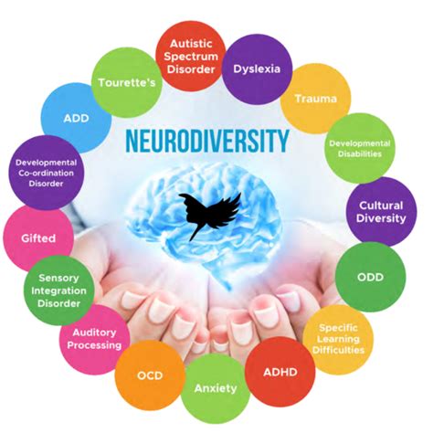 Why Does Neurodiversity Boost Innovation Newmella Holdings Pty Ltd