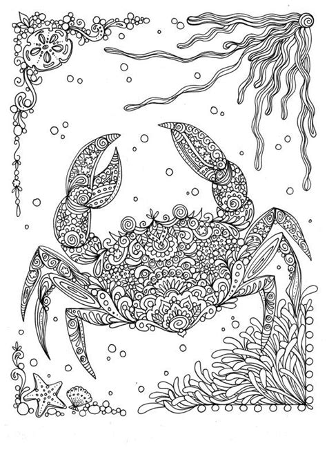 Read the memory verse (exodus 15:11) a few times together and do the motion for awesome. Fanta-Sea Coloring Book Under the Sea Adventure Adult ...
