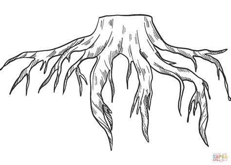 Tree With Roots Coloring Page Sketch Coloring Page Porn Sex Picture