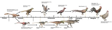 The Evolutionary Divergence Between T Rex And Chickens Rnaturewasmetal