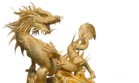 Giant Golden Chinese Dragon Photograph By Anek Suwannaphoom Pixels