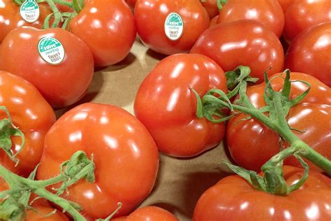 Organic Cluster Tomatoes | Produce Geek