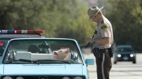We did not find results for: Pig Driving Convertible | Geico Wiki | Fandom