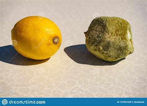 Healthy And Rotten Lemon Fruits Stock Image Image Of Fungus