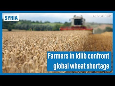 Farmers In Syria S Idlib Confront Global Wheat Shortage YouTube