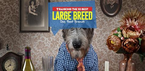 Our 2021 top 15 picks. The Best Large Breed ADULT Dog Food Brands | Dog food ...