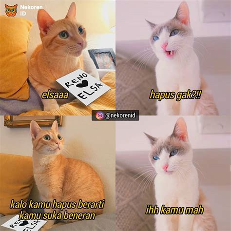 Meme Obrolan Kucing Ini Bikin Susah Nahan Tawa