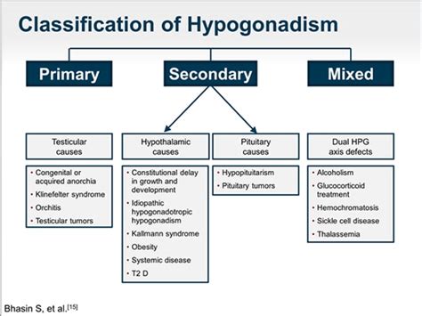 Exploring Ed And Hypogonadism As A Portal To Bone Cardiovascular