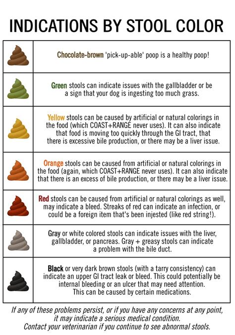 Dog Poop Color Chart Tips To Help You Recognize That Colored Poop Is A